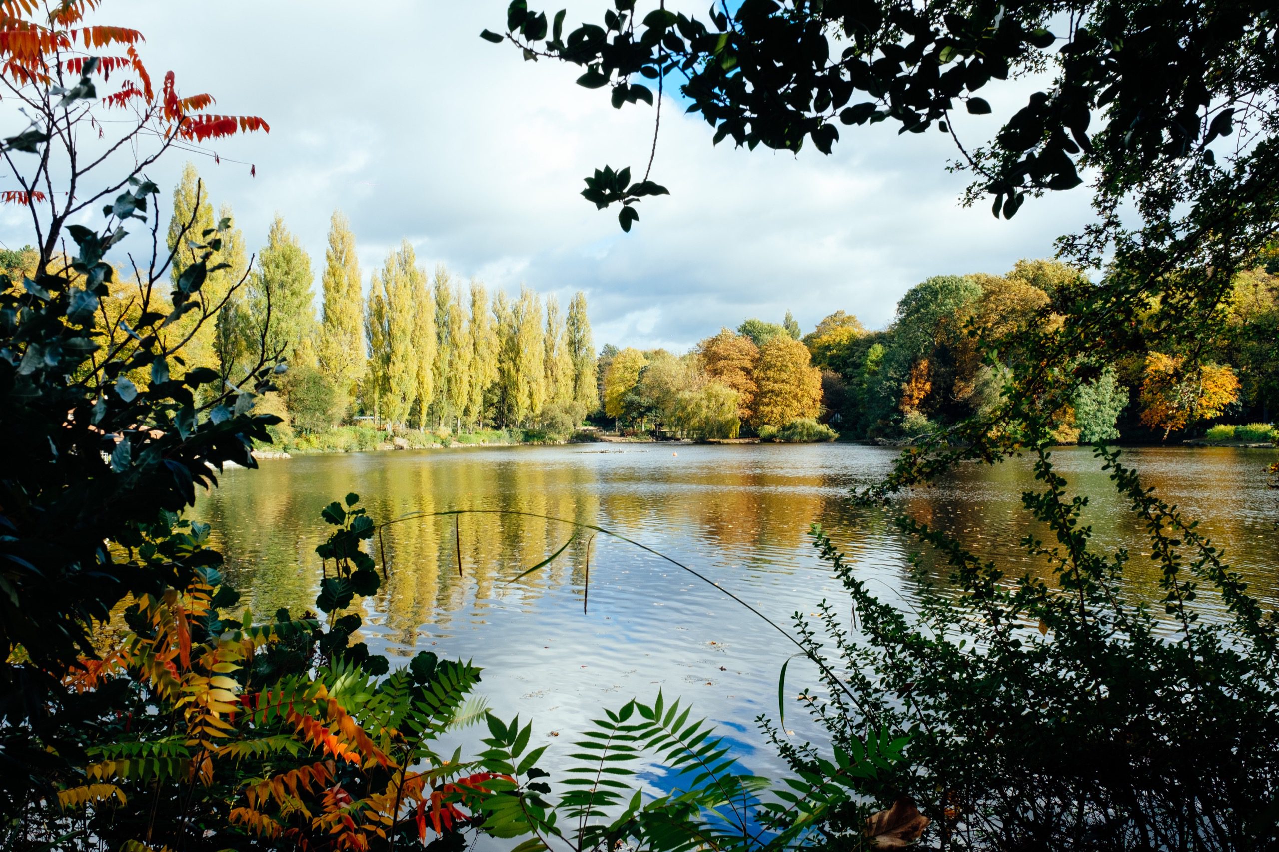 A lake surrounded by trees.