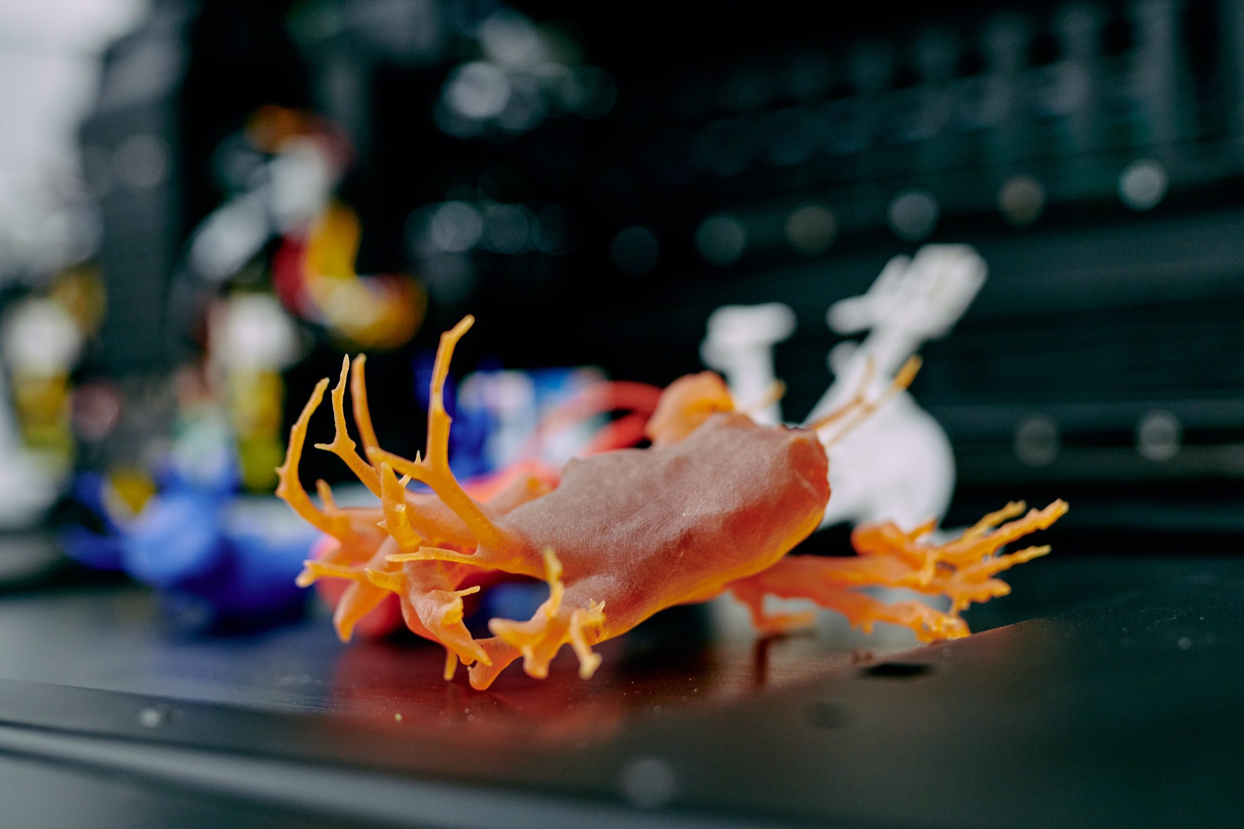 3D printing of heart.