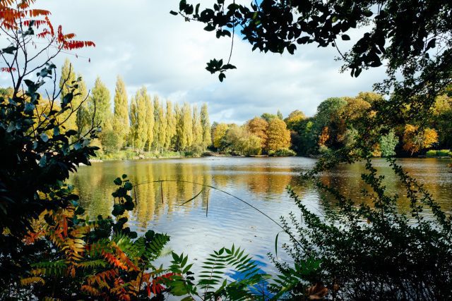 Lake surrounded by trees.