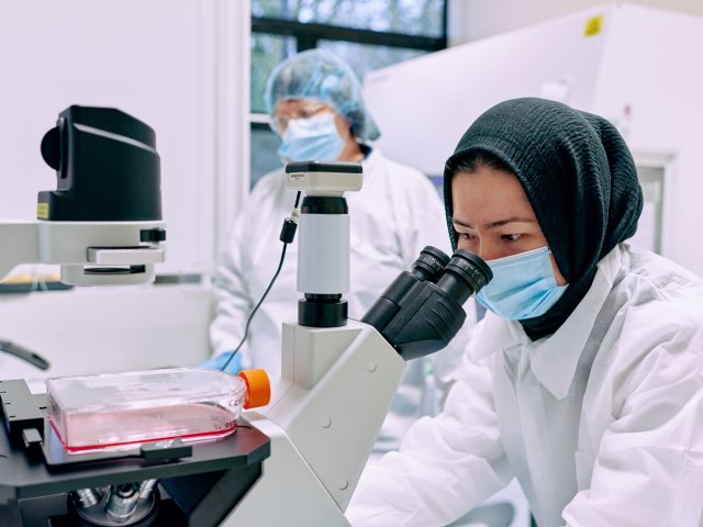 Scientists looking through a microscope. Stem cell research.