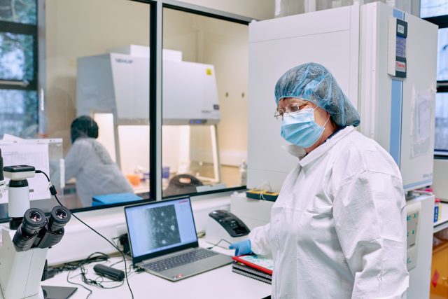 Scientist in a face mask and hair net working on a laptop. Stem cell research.