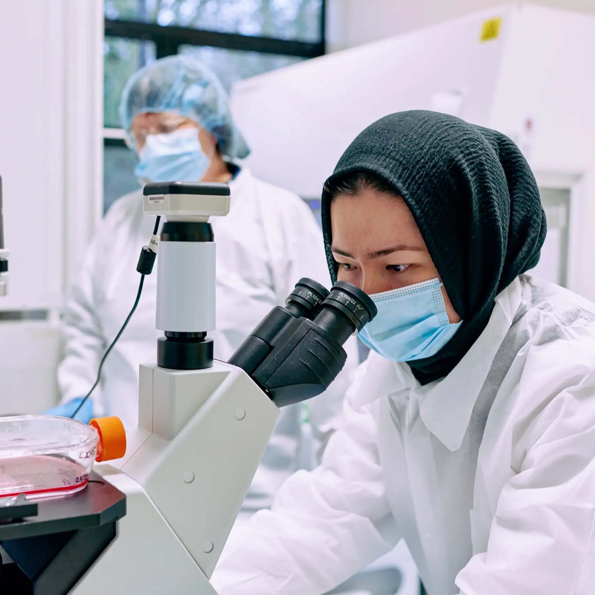 Scientist looking down a microscope.